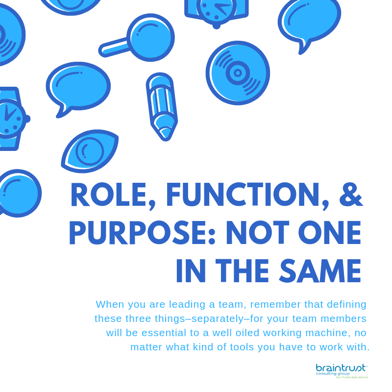 Role, Function, & Purpose: Not One in the Same