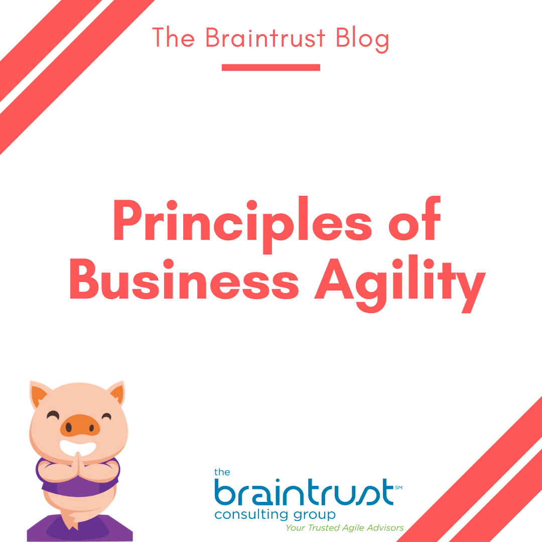 Principles of Business Agility