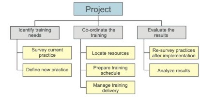 Project Scope